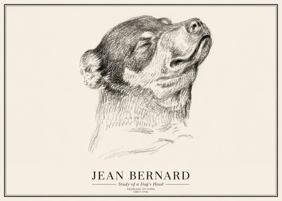 Jean Bernard Study of a Dog III No3 - Juliste