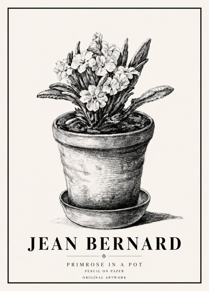 Jean Bernard Potted Primrose No6 - Juliste