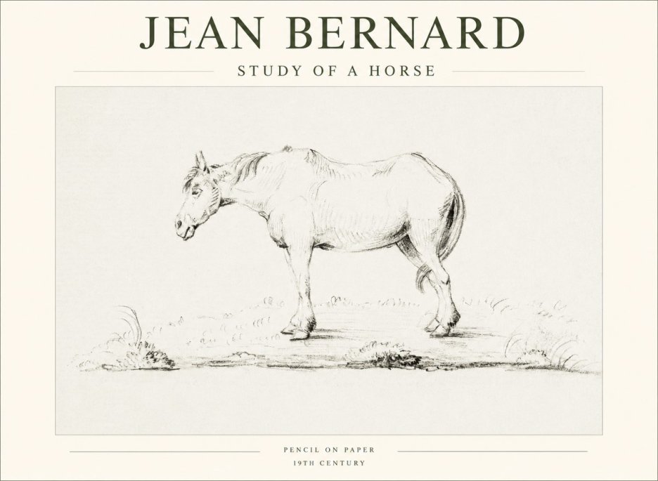 Jean Bernard Study of a Horse IX No1 - Juliste