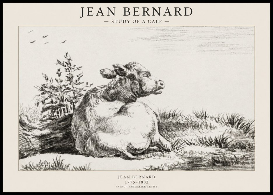 Jean Bernard Study of a Calf III No1 - Juliste