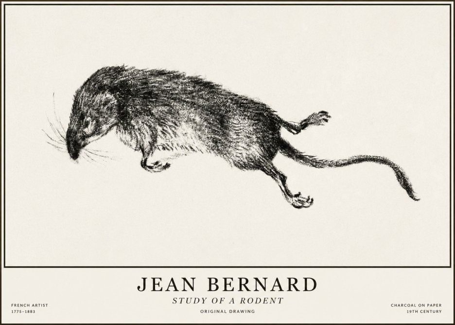 Jean Bernard Study of a Rat II No5 - Juliste