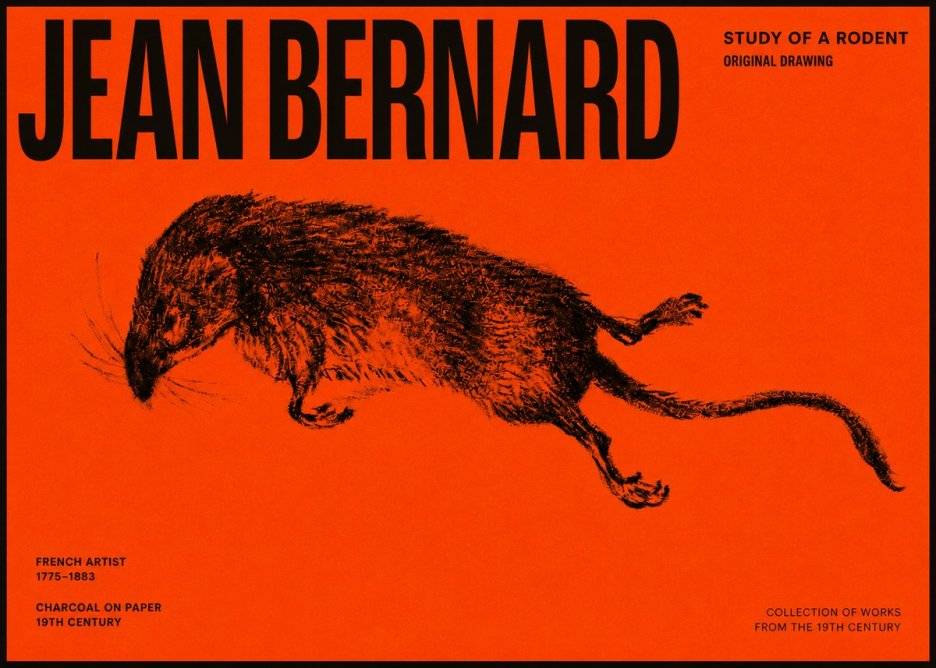 Jean Bernard Study of a Rat II No6 - Juliste