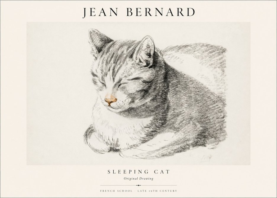 Jean Bernard Sleeping Cat VI No1 - Juliste