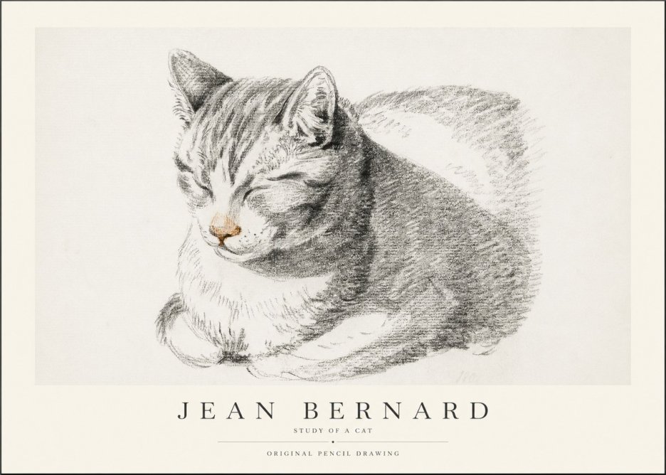 Jean Bernard Sleeping Cat VI No2 - Juliste
