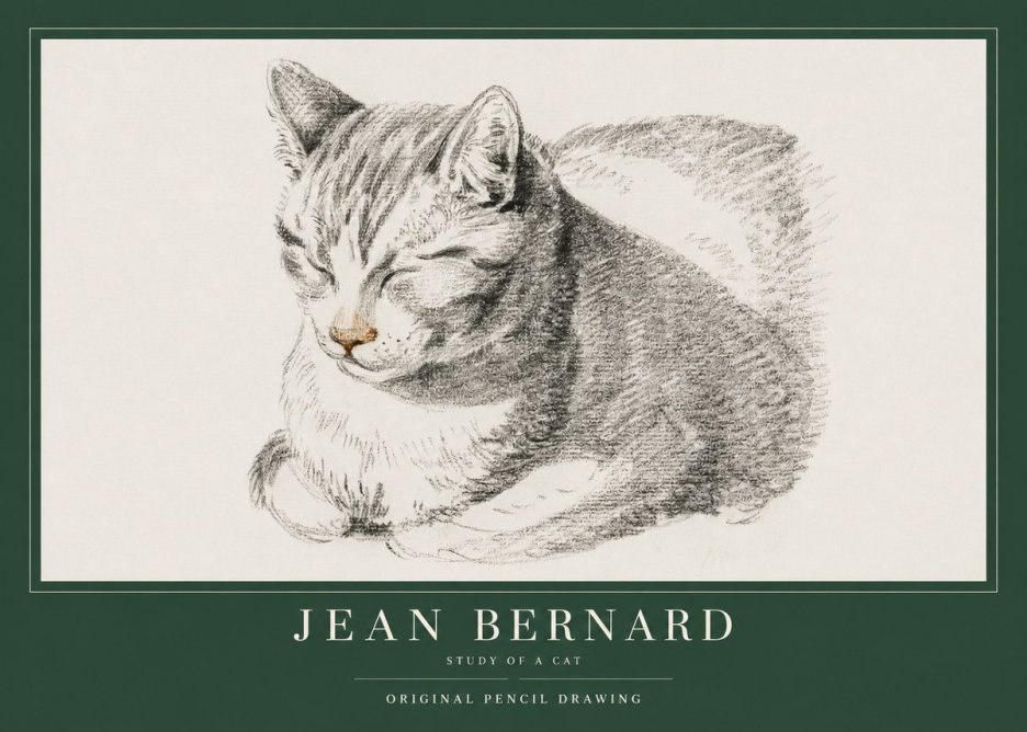 Jean Bernard Sleeping Cat VI No4 - Juliste