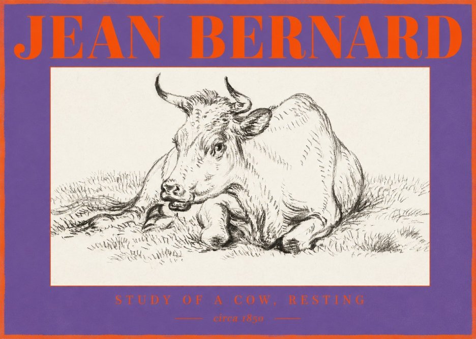 Jean Bernard Study of a Cow, Resting No2 - Juliste