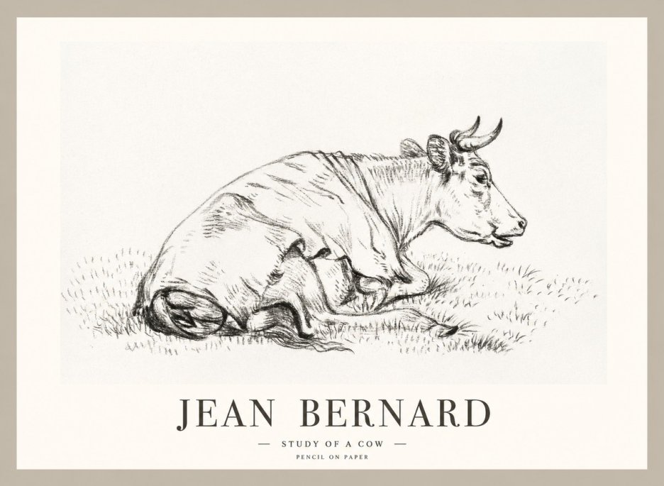 Jean Bernard Resting Cow III No2 - Juliste