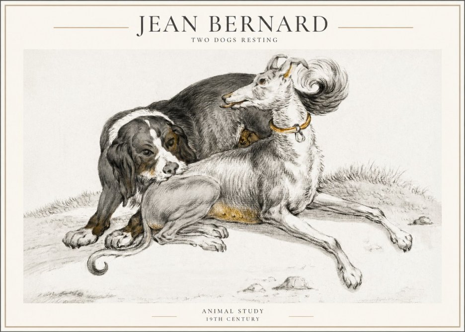 Jean Bernard Two Dogs Resting No4 - Juliste