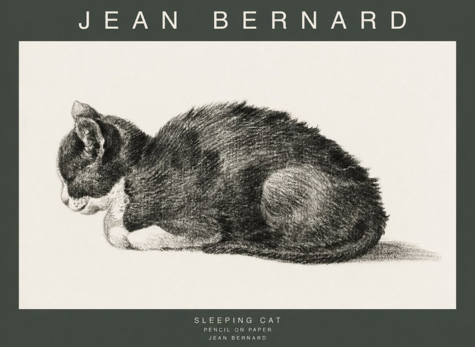 Jean Bernard Sleeping Cat VII No1 - Juliste