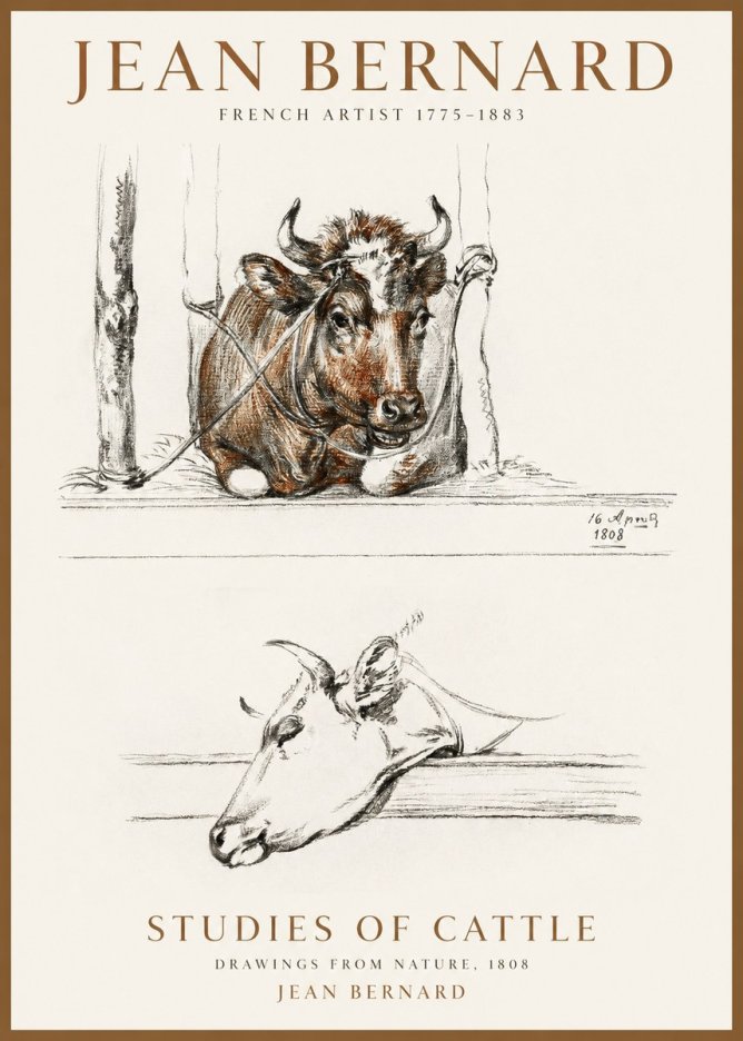 Jean Bernard Studies of Cattle III No1 - Juliste