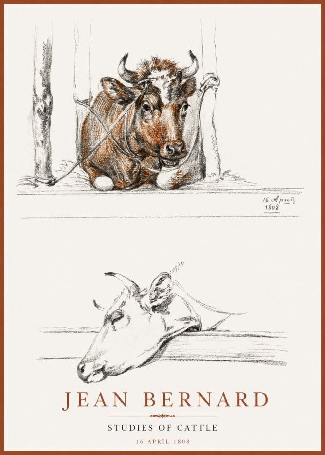 Jean Bernard Studies of Cattle III No2 - Juliste