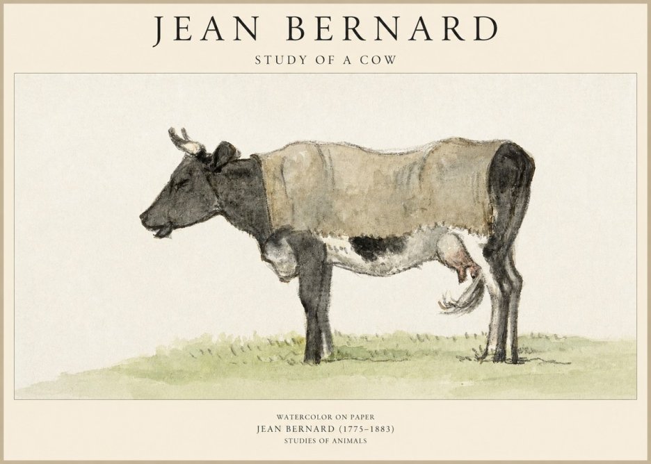 Jean Bernard Study of a Cow IX No6 - Juliste