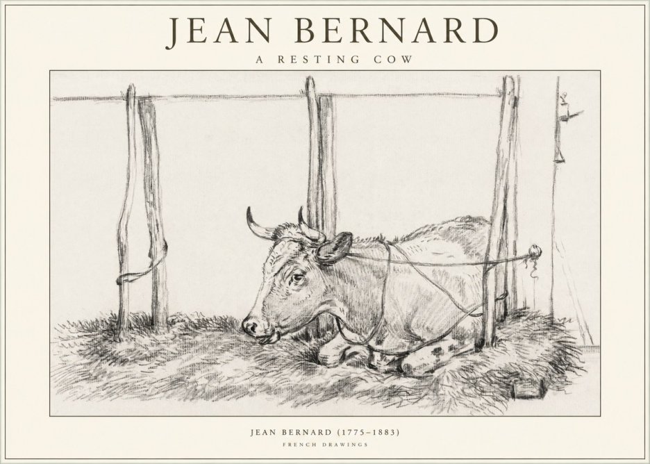 Jean Bernard A Resting Cow No1 - Juliste