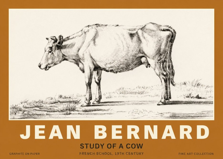 Jean Bernard Study of a Cow XI No3 - Juliste