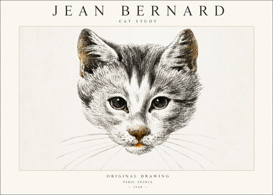 Jean Bernard Cat Study IX No6 - Juliste