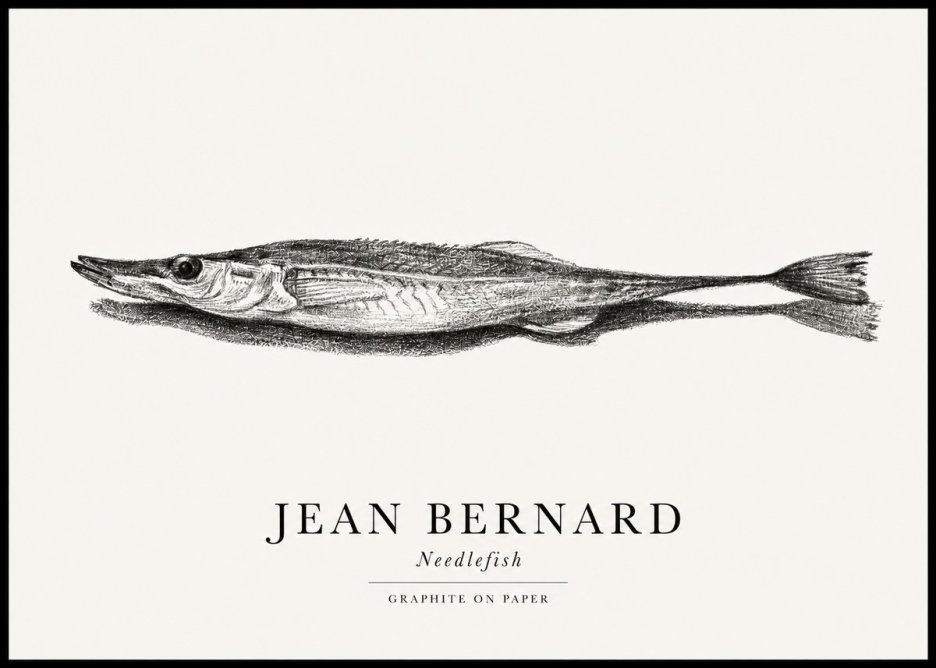 Jean Bernard Needlefish No1 - Juliste