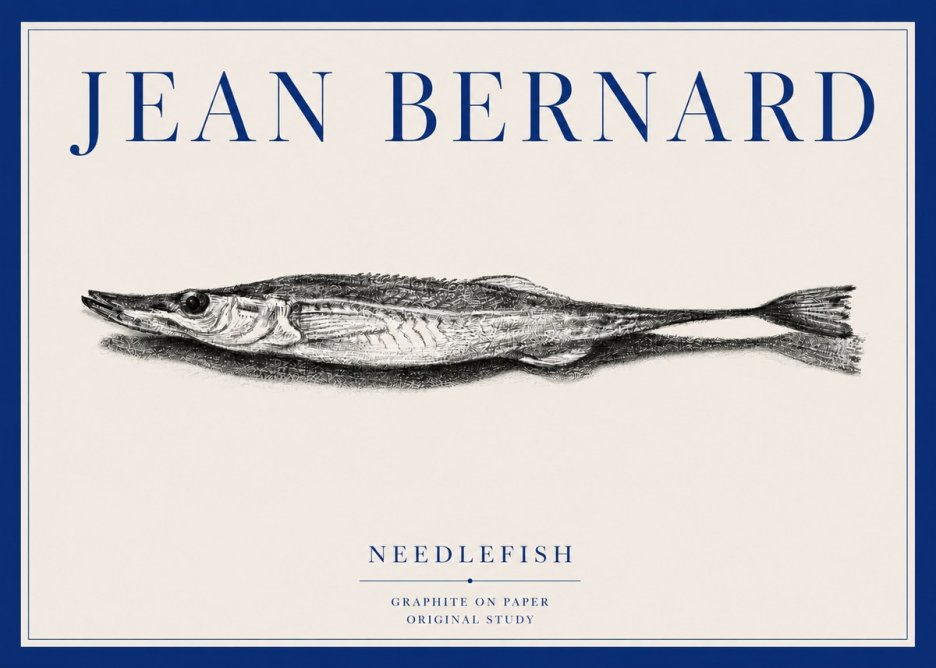 Jean Bernard Needlefish No3 - Juliste