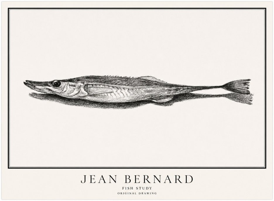 Jean Bernard Needlefish No5 - Juliste