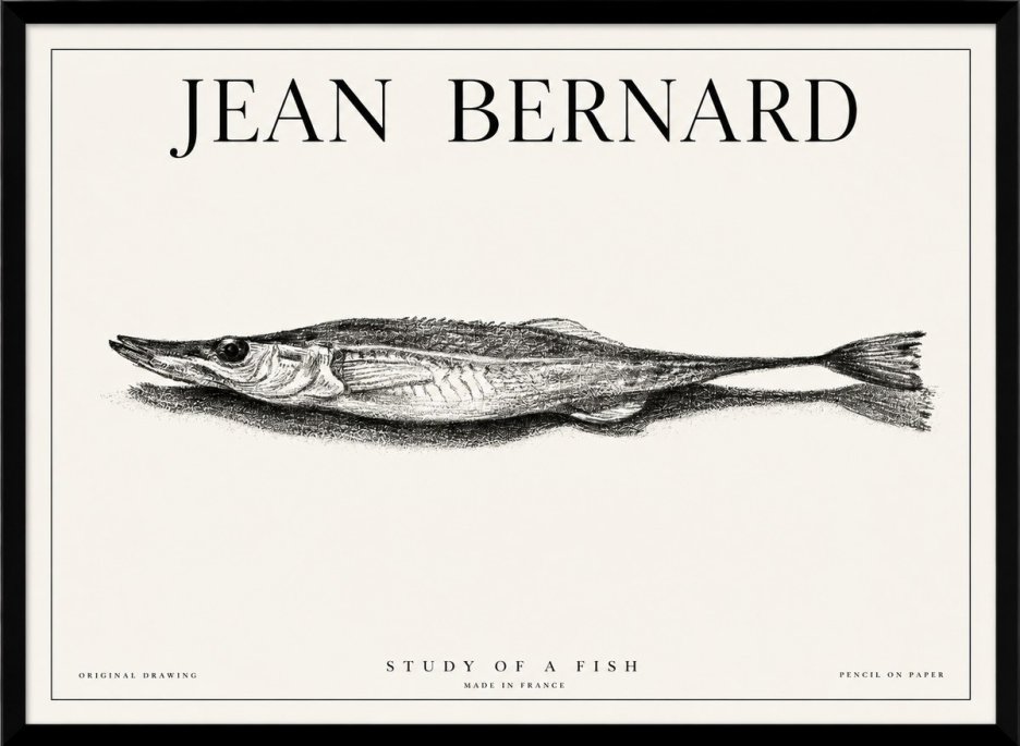 Jean Bernard Needlefish No6 - Juliste
