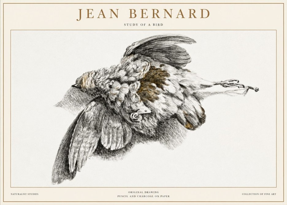 Jean Bernard Study of a Bird III No1 - Juliste