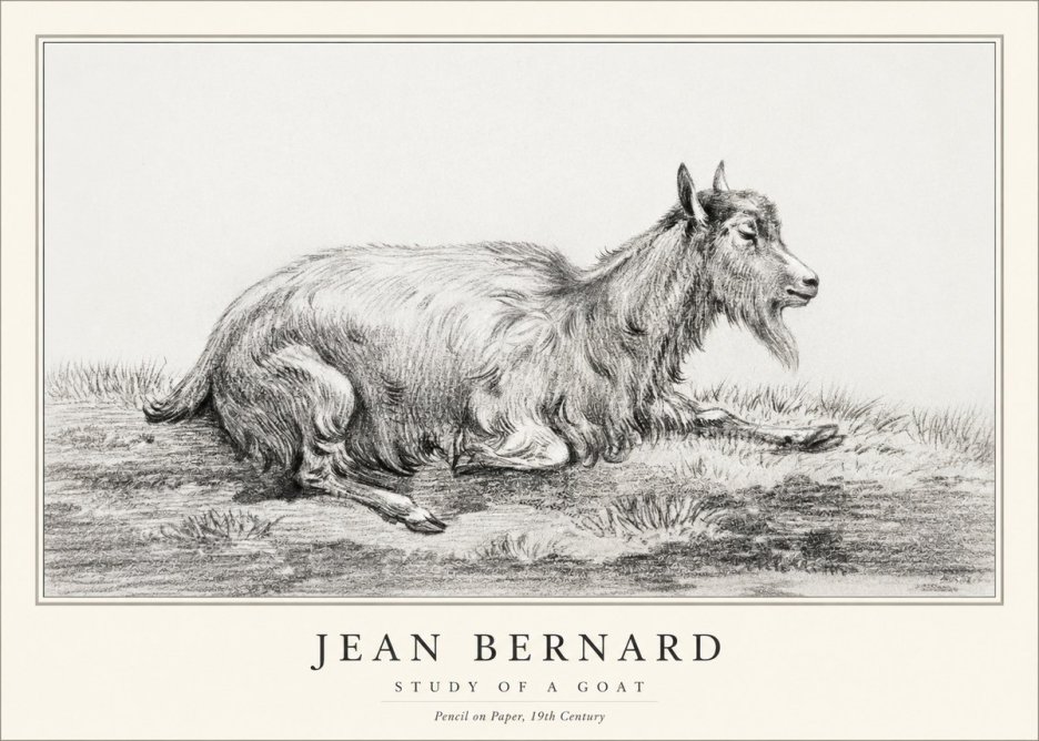 Jean Bernard Study of a Goat V No1 - Juliste