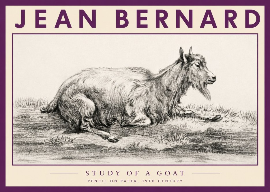 Jean Bernard Study of a Goat V No3 - Juliste
