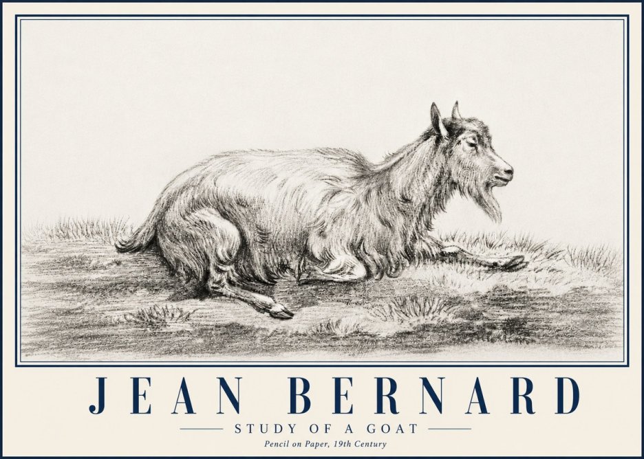 Jean Bernard Study of a Goat V No5 - Juliste