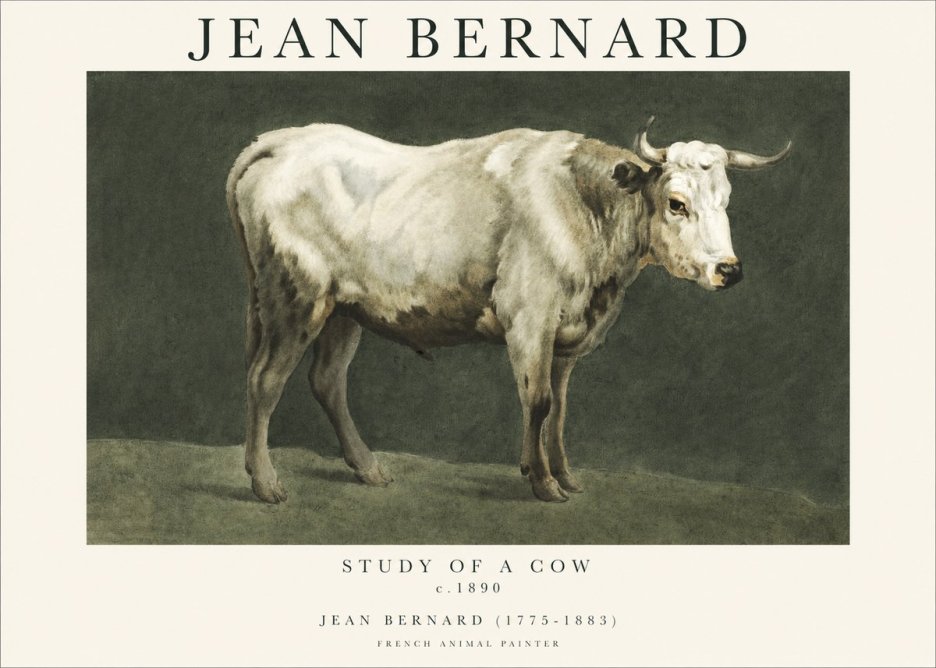 Jean Bernard Study of a Cow C. 1890 No1 - Juliste