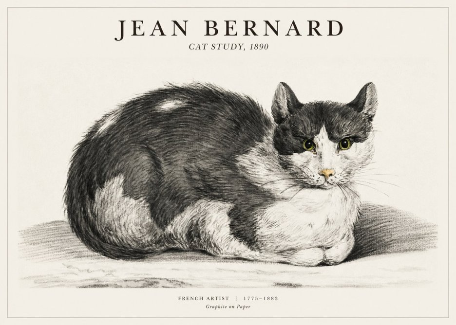 Jean Bernard Cat Resting No3 - Juliste