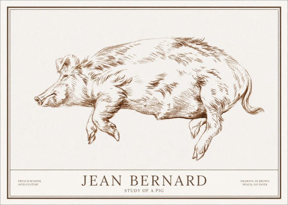 Jean Bernard Study of a Pig II No1 - Juliste