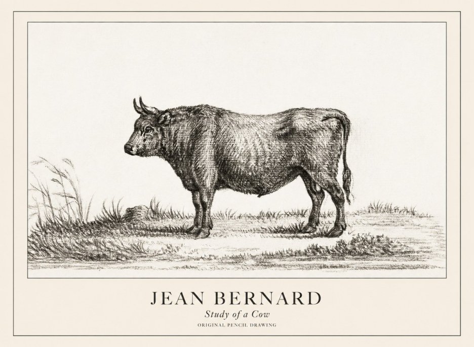 Jean Bernard Study of a Cow XIII No3 - Juliste