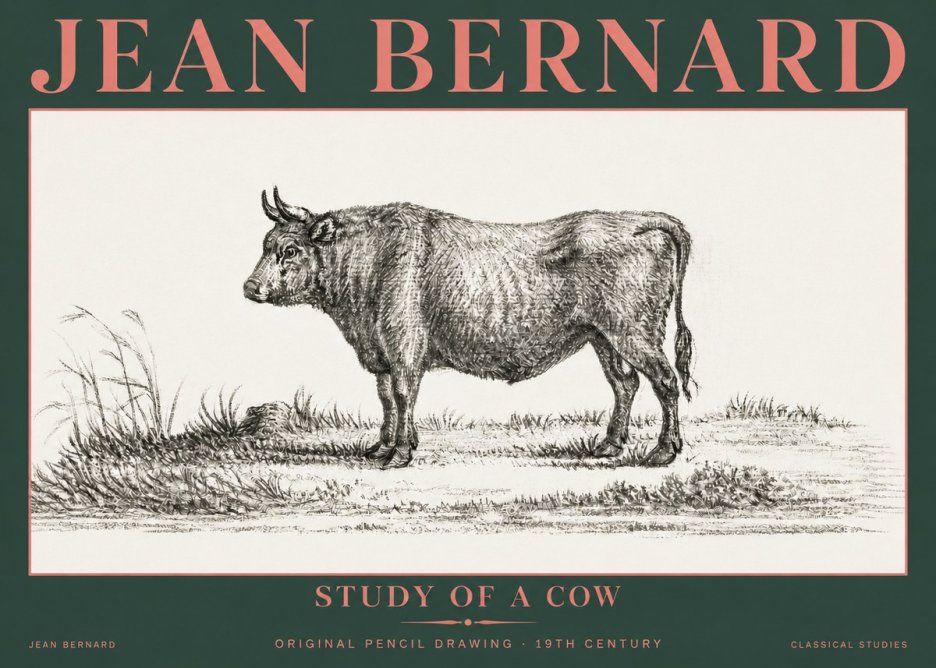 Jean Bernard Study of a Cow XIII No5 - Juliste