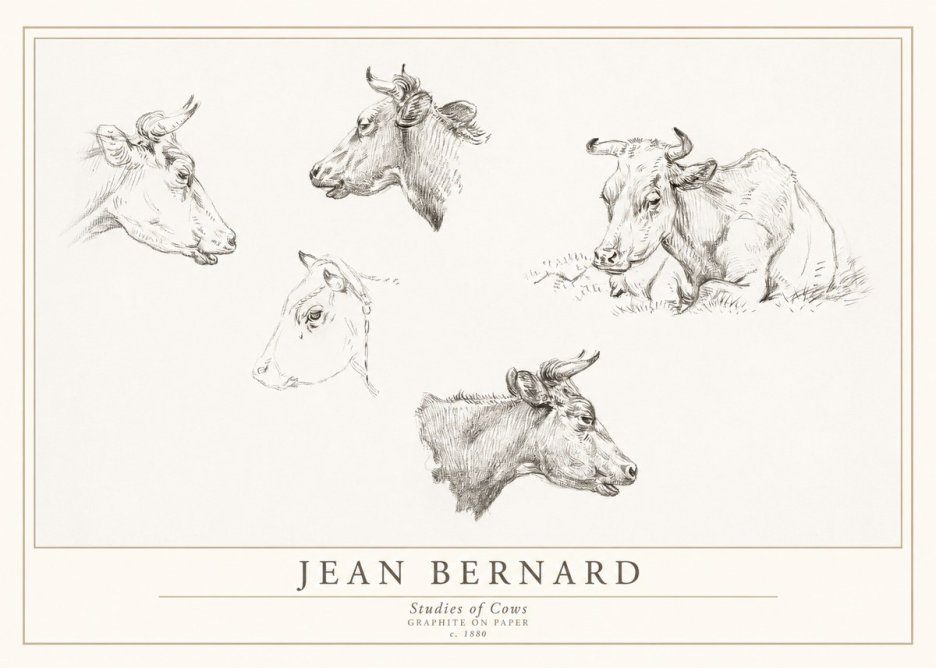Jean Bernard Studies of Cows I No1 - Juliste