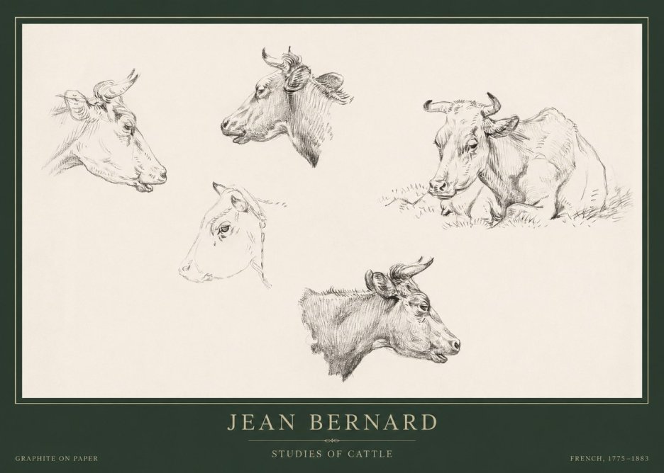 Jean Bernard Studies of Cows I No5 - Juliste
