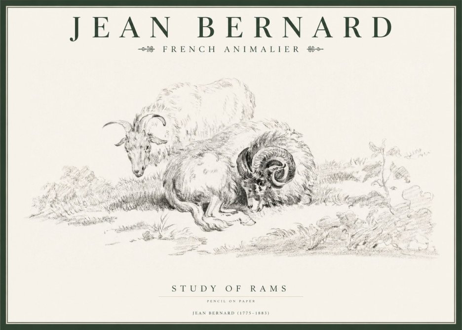 Jean Bernard Study of Sheep No2 - Juliste