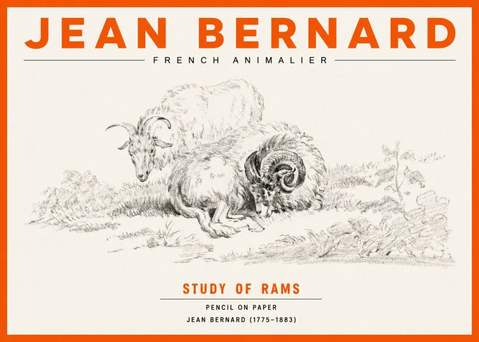 Jean Bernard Study of Sheep No3 - Juliste