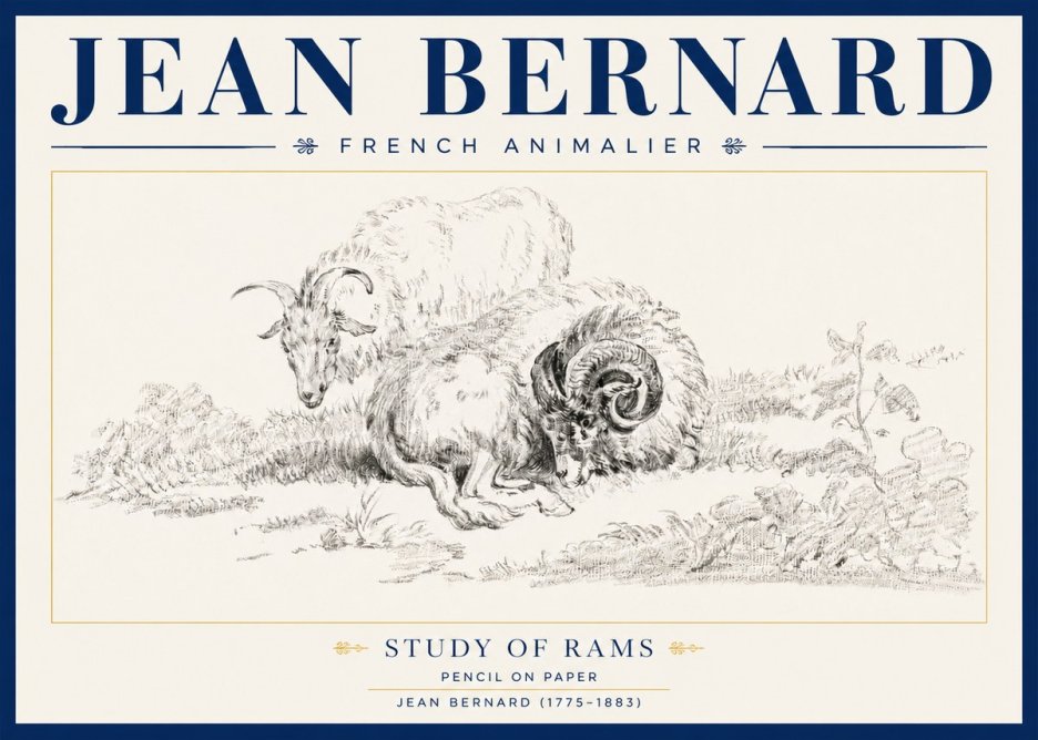 Jean Bernard Study of Sheep No4 - Juliste