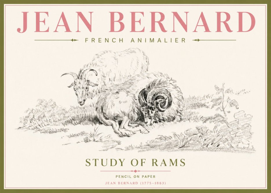 Jean Bernard Study of Sheep No5 - Juliste