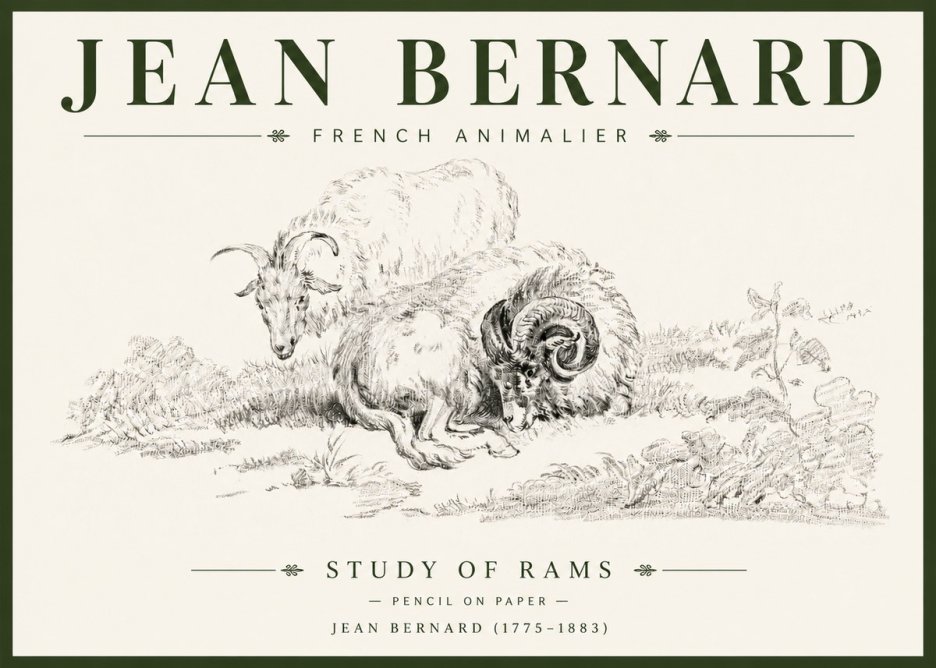 Jean Bernard Study of Sheep No6 - Juliste