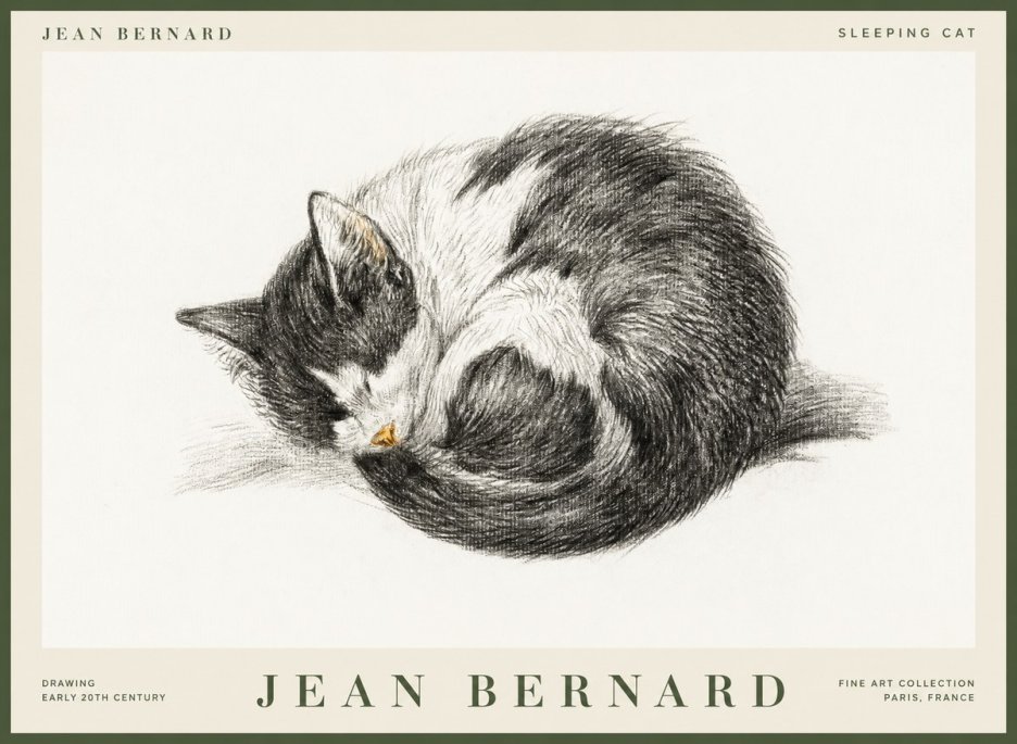 Jean Bernard Sleeping Cat VIII No1 - Juliste
