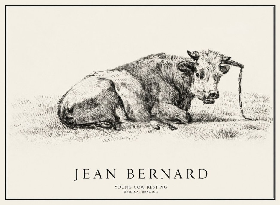 Jean Bernard Young Cow Resting No1 - Juliste