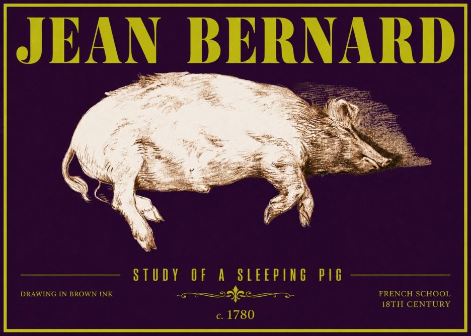 Jean Bernard Study of a Sleeping Pig No6 - Juliste