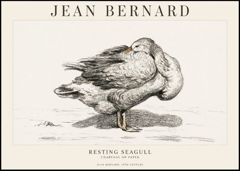 Jean Bernard Resting Seagull No1 - Juliste
