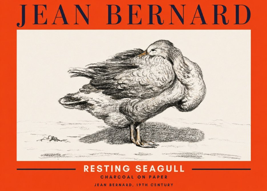 Jean Bernard Resting Seagull No2 - Juliste