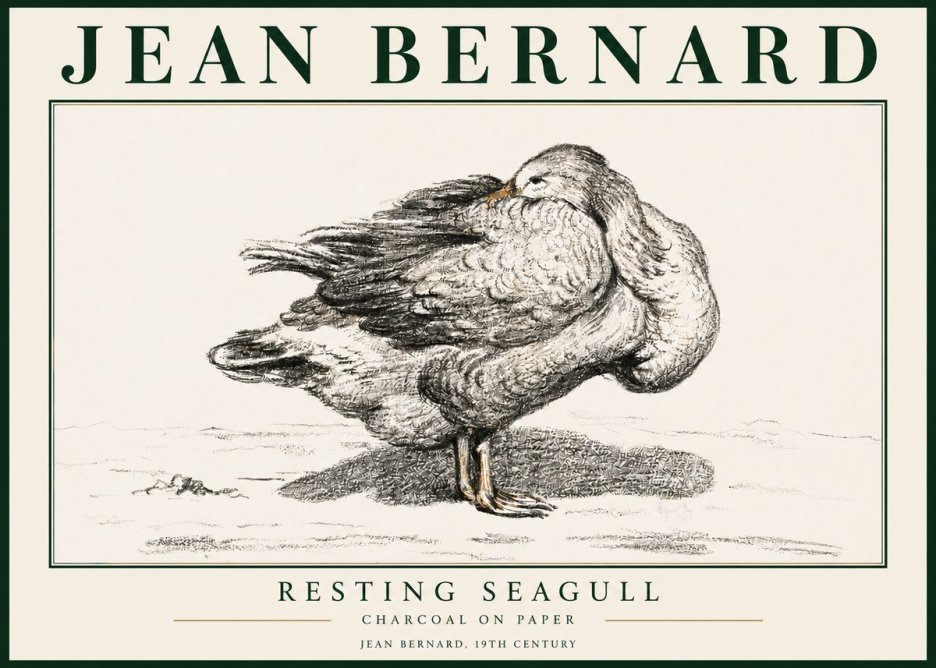 Jean Bernard Resting Seagull No3 - Juliste