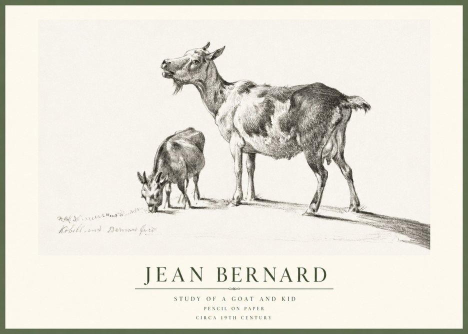 Jean Bernard Study of a Goat and Kid No1 - Juliste