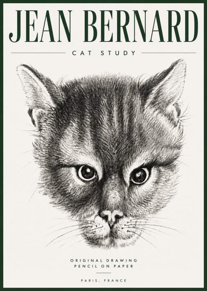 Jean Bernard Cat Study. Original Drawing No5 - Juliste