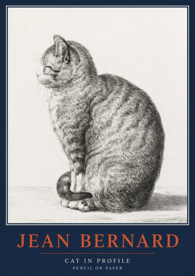 Jean Bernard Cat in Profile No2 - Juliste