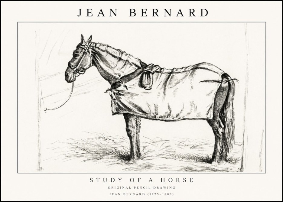 Jean Bernard Study of a Horse XI No1 - Juliste
