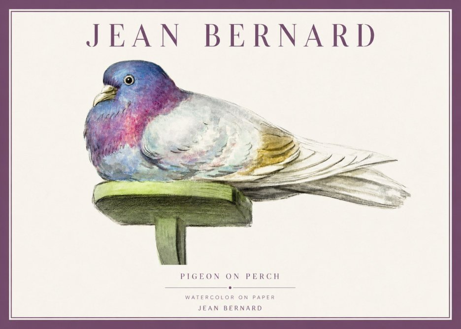 Jean Bernard Pigeon on Perch No1 - Juliste